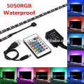 IP68 underwater smd rgb 3528 led strip light DC12V/24V RGB waterproof led strip